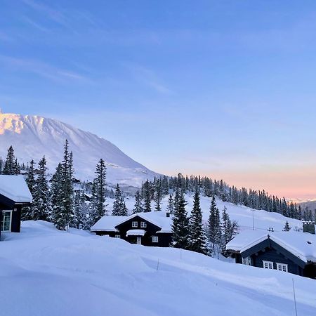 Gausta Lodge Med 6 Sengeplasser I Naerhet Til Gaustatoppen Gaustablikk Εξωτερικό φωτογραφία