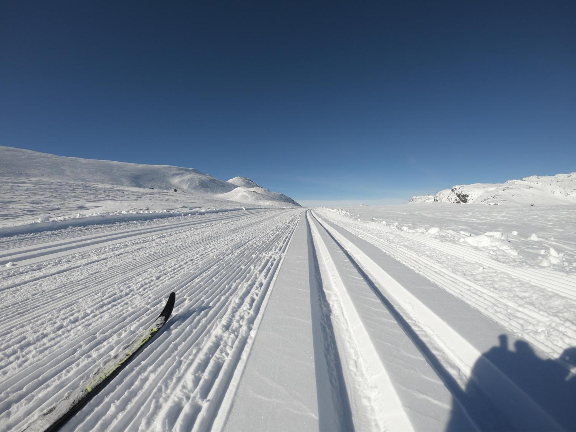 Gausta Lodge Med 6 Sengeplasser I Naerhet Til Gaustatoppen Gaustablikk Εξωτερικό φωτογραφία